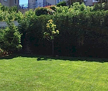 Çim Uygulama