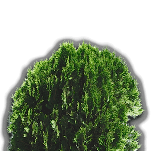 Peyzajcı